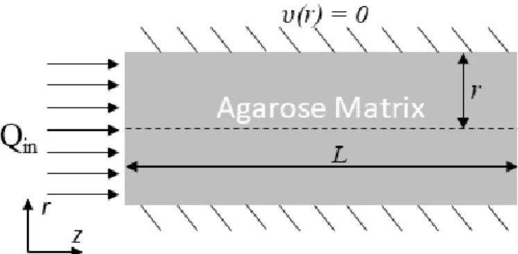 Figure 2.6. Simplified agarose resistance matrix schematic. Flow enters the porous domain from  the left, filling the void space of the porous structure, and raising the pressure drop