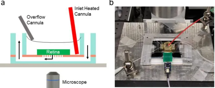 Figure 3.12. Custom μpMEA set-up. a. Schematic diagram of μpMEA platform where light gray,  light blue, and light red represent the glass substrate, PDMS and PI layers, respectively