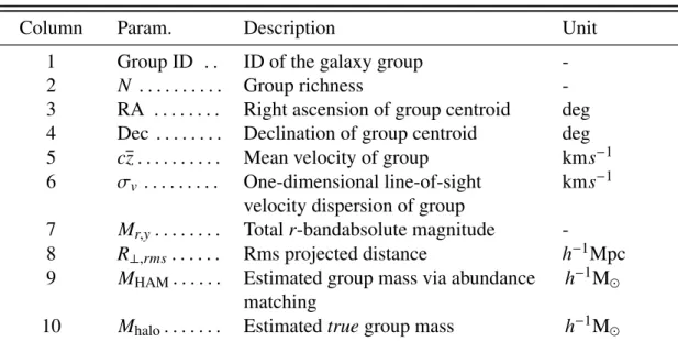 Table 2.4: Mock Group Catalogue Parameters