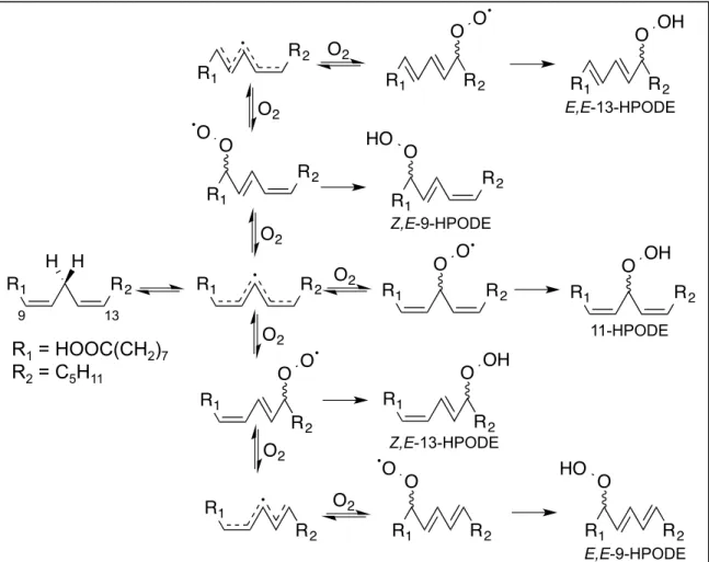 Figure  5.  Autoxidation  products of LA. After bis-allylic  hydrogen  abstraction,  the pentadienyl  radical of  LA  can  react  at three  different positions,  generating  three distinct  peroxyl  radicals