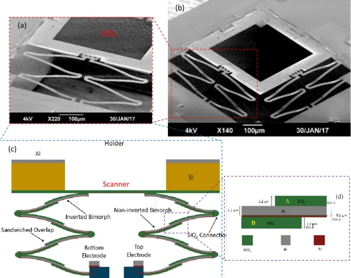 Figure  4.1  (a)  Bimorph  series  and  connections.  (b)  Side  View.  (c)  ISC  actuators
