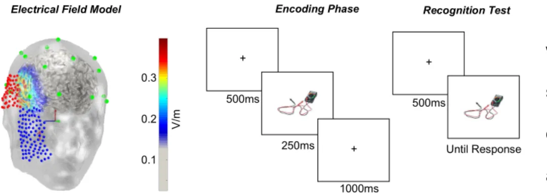 Fig. 1. The current distribution of the stimulation and examples of encoding and test phase  trials