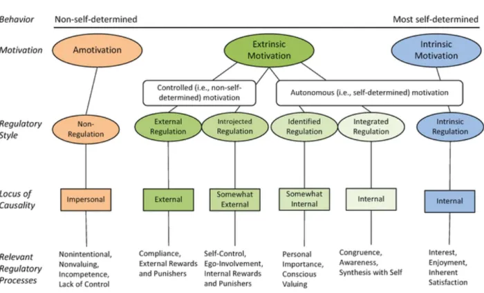 Figure 1 The Self-Determination Continuum 