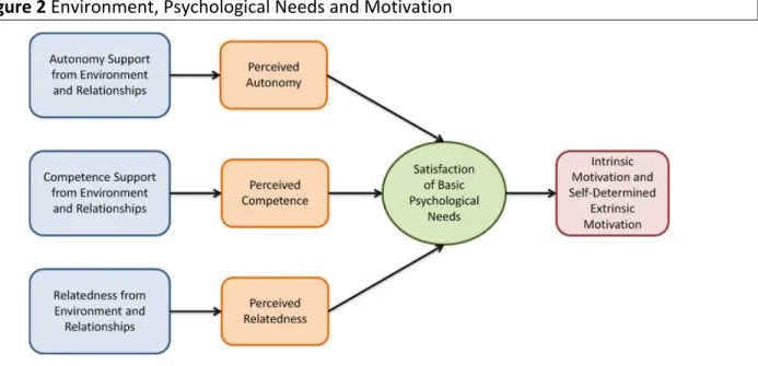 Figure 2 Environment, Psychological Needs and Motivation 