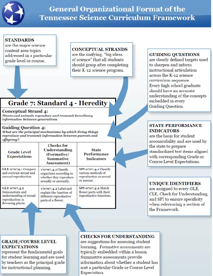Figure 1: Tennessee Department of Education infographic to demonstrate how standards should be read 
