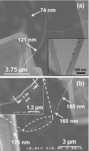 Figure 1.4  -  SEM micrographs  of two individual CNTs forming a contact  between two  suspended  membranes