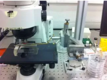 Figure 2.2– An in-house built manipulator in conjunction with a Nikon microscope used  to manipulate nanostructures