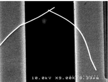 Figure  4.1  -  A  sample  with  two  gold  nanowires  of  ~80  nm  diameter  forming  a  cross  contact