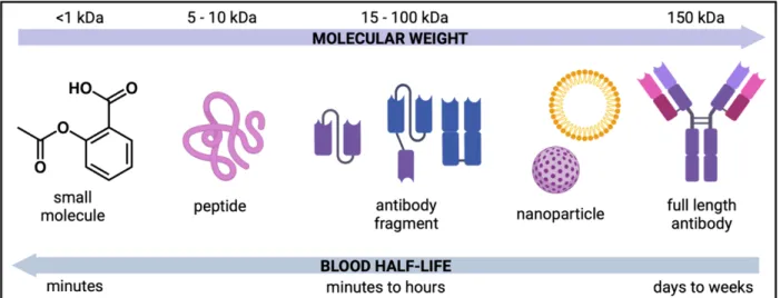 Figure 2. The blood half-life of different biologically active compound types with varying  molecular weights