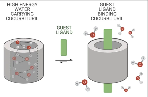 Figure 10.  Binding of the guest molecule to the cavity of the cucurbit[n]uril host  molecule