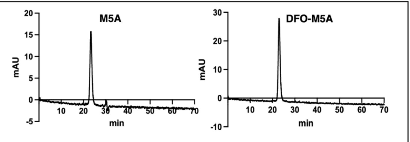 Figure 22. Quality control of DFO-M5A. FPLC chromatograph of the non-modified M5A  (left) and the purified DFO-M5A (right) with detection of absorption of 280 nm
