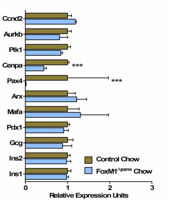 Figure 55.  Real-time qRT-PCR analysis of transcript expression in FoxM1 ∆panc and Control islets