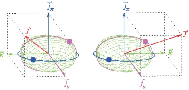 Figure 1.1: The possible alignments of the angular momentum vector in a chiral nucleus.