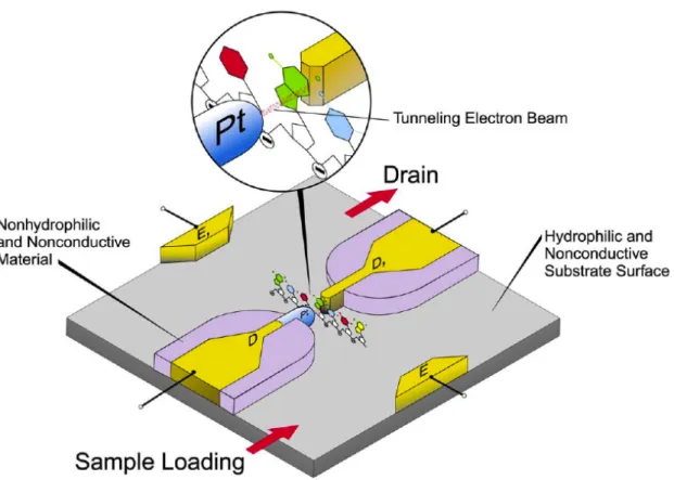 Figure 1: Nanoscale sequencing device concept developed by researchers at ORNL 20