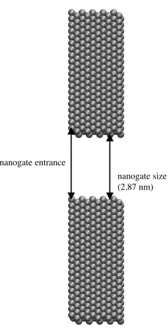 Figure 4: Representation of the definitions of “nanogate entrance” and “nanogate size”