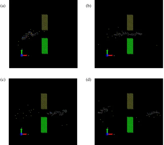 Figure 5: Snapshots of the –0.05 V/Å applied field simulation of ssDNA (C 8 T 8 ) in water at (a) 0 ps, (b) 150 ps, (c) 275ps, and (d) 500 ps