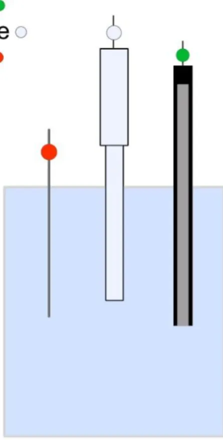 Figure 2.1. Standard 3-electrode cell. The three-electrode cell consists of an electrolyte solution,  a working electrode (green), a reference electrode (white), and a counter electrode (red)