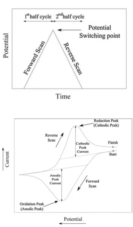 Figure 2.2. Cyclic Voltammetry Waveform and example CV. The top shows the waveform of a  CV,  the  potential  vs