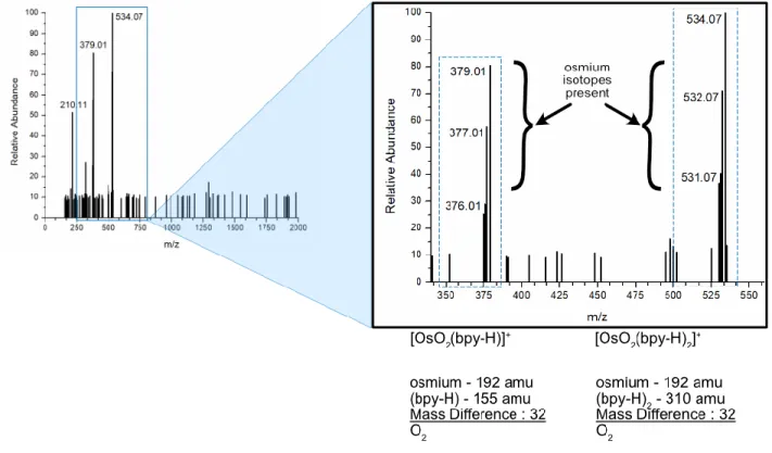 Figure 3.2. Mass Spectra of f-Os precursor or OsO 2 (bpy) 2 . The full spectrum is shown on the  left, featuring the main peaks of the molecule and a zoom in on the right of the parent peak and  subpeak  at  534.07  and  379.01  m/z,  respectively