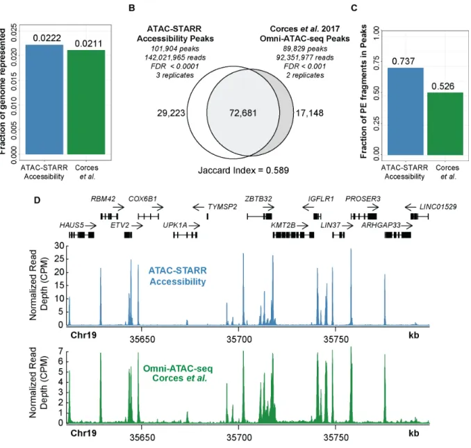 Figure  7:  ATAC-STARR-seq accurately quantifies chromatin accessibility. ATAC-seq data from  Corces et al