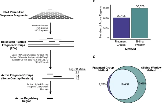 Figure  9:  Comparison between the sliding window and the fragment group active region calling  methods