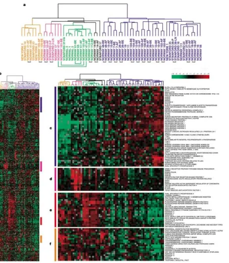 Figure 1-4. Four Molecular Subtypes of Breast  Cancer. Dendrogram branch colors indicate subtype:  