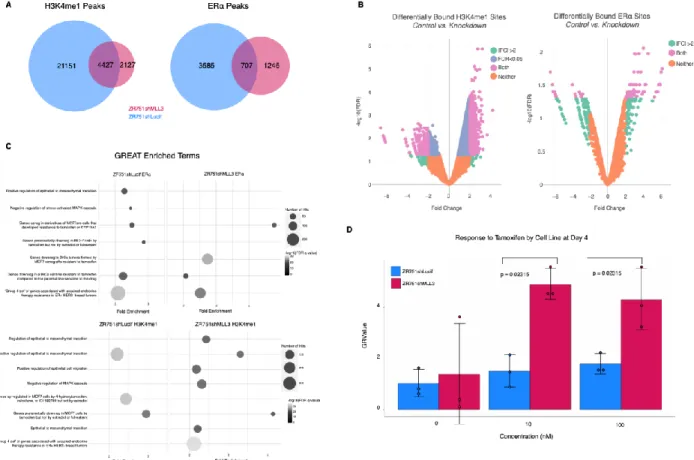 Figure 2-4. Knockdown of MLL3 leads to a reduction in H3K4me1 that correlates with a shift in ERα-binding