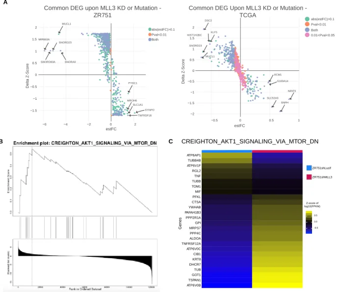 Figure 2-6. Knockdown of MLL3 and mutation of MLL3 share an MLL3-deficiency transcriptional signature