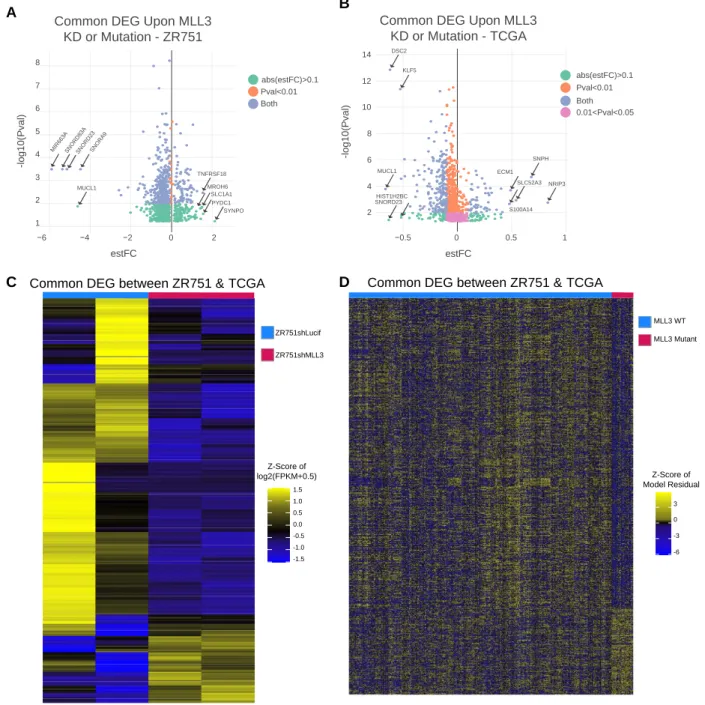 Figure 2-7. Supplement to Figure 2-6. (a) Scatterplot of the differentially expressed genes in common between ZR751 breast  cancer cells upon MLL3 knockdown and TCGA ER+ luminal breast cancer samples with MLL3 mutations