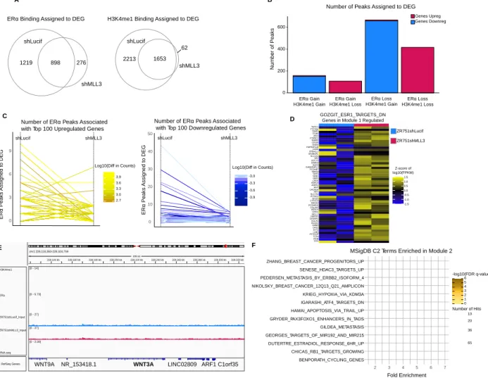 Figure 2-8. Knockdown of MLL3 in leads to a new transcriptional regulation program of ERα targets in conjunction with  changes in H3K4me1 deposition