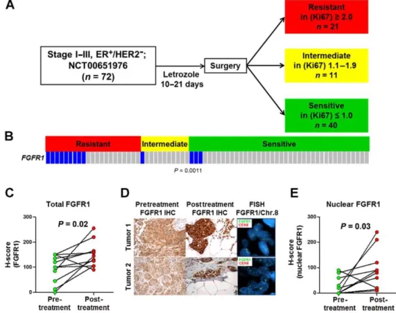 Figure 4-1. FGFR1 amplification and overexpression associate with endocrine resistance in ER+ breast cancer