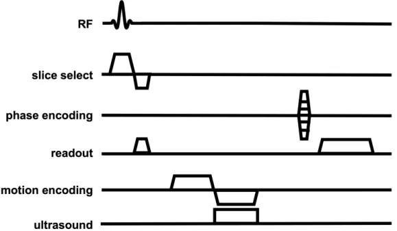 Figure 2.7: Pulse sequence diagram for MR-ARFI gradient-recalled echo sequence with a single bipolar motion-encoding gradient.