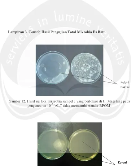 Gambar 12. Hasil uji total mikrobia sampel J yang berlokasi di Jl. Magelang pada 