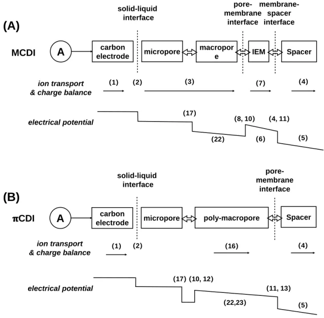 Figure 6.2 Description of models for half-cell of MCDI (A) and π-CDI (B) and profile of electrical  potentials