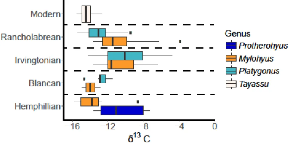 Figure 2: Boxplot of stable carbon isotope values separated by NALMA for co-occurring Tayassuidae genera