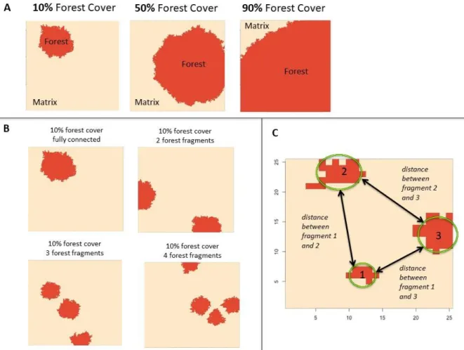 Figure 7: Sample landscape configuration generated by the model: A) one-fragment scenario showing three levels  of forest cover: 10%, 50%, and 90%; B) four levels of fragmentation in a 10% forest cover scenario; c) distance  between forest fragments quanti