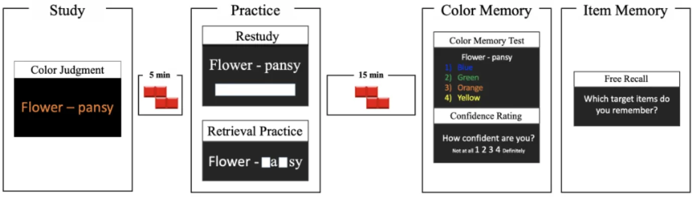 Figure 2.1: A schematic depiction of the design of Experiment 1. See text for details.