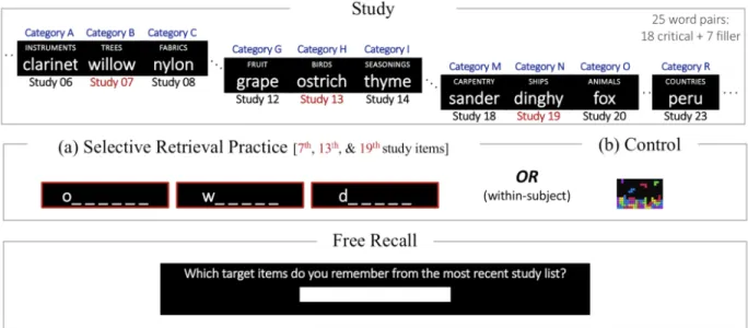 Figure 4.1: A schematic depiction of a single block from Experiment 5. In each block, participants studied a total of 25 words (18 critical items)