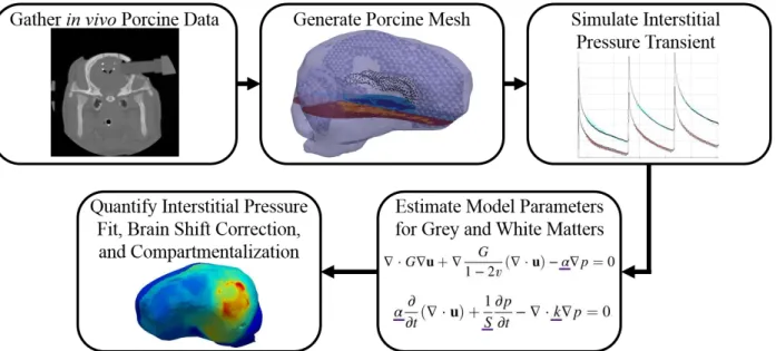 Figure III. 1: This is a flowchart illustrating the methods employed to investigate the impact of enhanced anatomical  modeling of a normal brain undergoing mock surgical loads