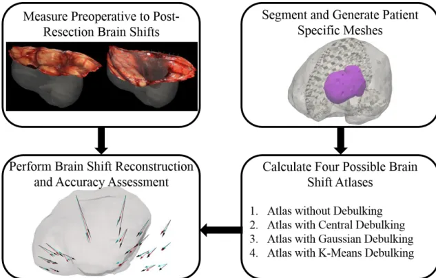 Figure III. 3: This is a flowchart of the methods used to investigate the influence of accounting for brain shifts due  to debulking in image-guided neurosurgery