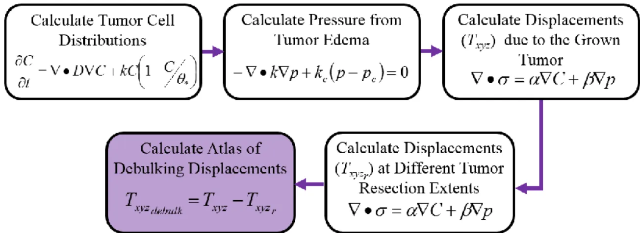 Figure III. 4: This is a flowchart of illustrating the physics of debulking, which was used to generate the debulking  atlases