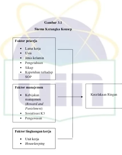 Gambar 3.1 Skema Kerangka Konsep 