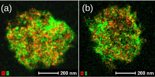 Figure  5.4.  Energy  Dispersive  X-ray  Spectroscopy  mapping  of  Nafion/PAA  nanofiber  cross sections (a) and (b) are two different nanofiber cross sections which show that there  is no drastic variation in the distribution within the cross section