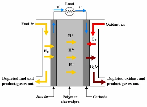 Figure 2.1: Schematic diagram of a PEMFC MEA. Adapted from Reference  [4] .