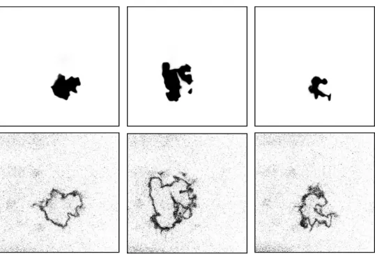 Figure 25: Sample raw OH (top) and CH 2 O PLIF (bottom) images before corrections or dewarping  for M = 0.3/ ϕ = 0.7 for the PNPG turbulence generator