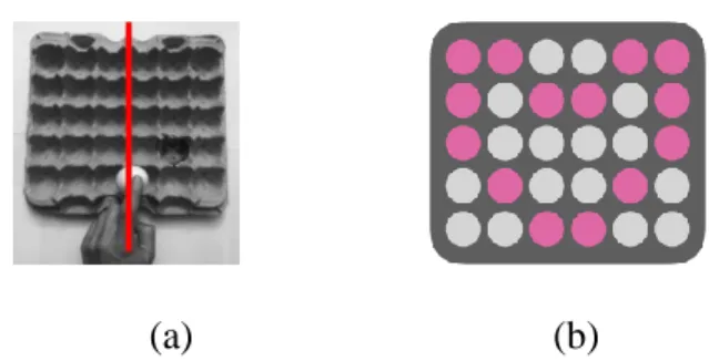 Figure 2-8. (a) No practical midline symmetry and (b) a schematic diagram of Olivia’s  heart centered on practical middle from Figure 5b