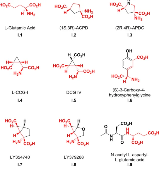 Figure  I.3  The  structure  of  the  endogenous  orthosteric  ligand  of  mGlu 2   and  mGlu 3 ,  glutamate, along with examples of known orthosteric agonists that exhibit a preference  for  the  group  II  mGlu  receptors  as  compared  to  other  mGlu  