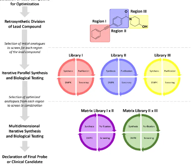 Figure  II.1  A  generalized  diagram  of  the  workflow  associated  with  iterative,  parallel,  multidimensional  synthesis  in  order  to  generate  an  optimized  analogue  within  a  chemical  series