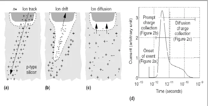 Figure  6 [6]:  Charge collection  and resulting  transient current 