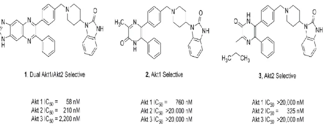 Figure 9.  Structures of isoform selective, allosteric Akt Inhibitors.  The structures of the  potent dual Akt1/Akt2 selective (1), Akt1 selective (2), and Akt2 (3) selective inhibitors are shown